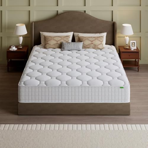 Colchão Queen, Colchão Híbrido - Memory Foam Mattress In A Box Queen avaliação e preço